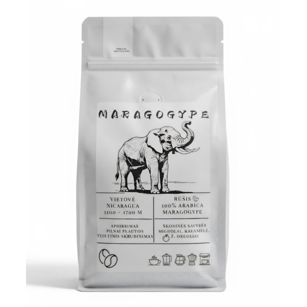 Maragogype Nicaragua kavos pupelės
